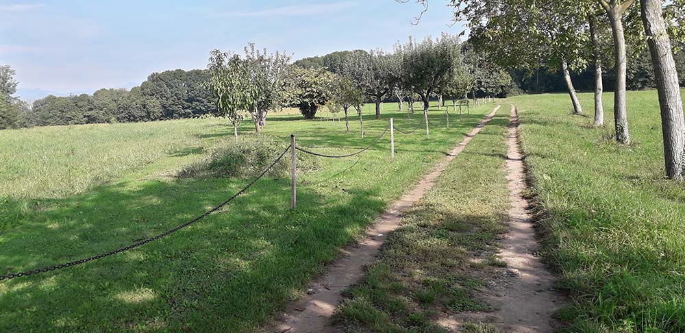 Percorso tra i prati Santa Cristina